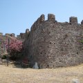 IMG_1209