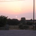 IMG_1237
