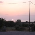 IMG_1238