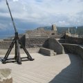 IMG_1469