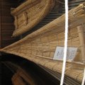 IMG_1477