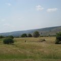 IMG_1880