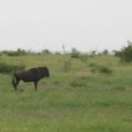 IMG_2051
