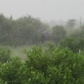IMG_2053