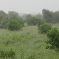 IMG_2054