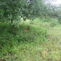 IMG_2056