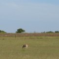 IMG_2175