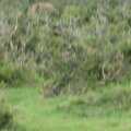 IMG_2403