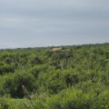 IMG_2410