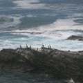 IMG_2510