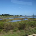 IMG_2521