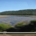 IMG_2529