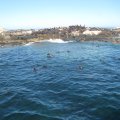 IMG_2671