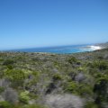 IMG_2699