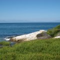 IMG_2722