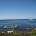 IMG_2739
