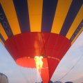 IMG_2971