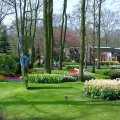 DSC00004