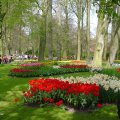 DSC00018