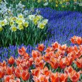 DSC00020