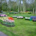 DSC00028
