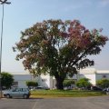 DSC00008