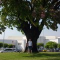 DSC00011