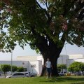 DSC00012