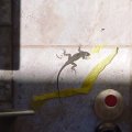 DSC00022