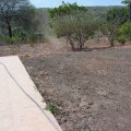 DSC00026