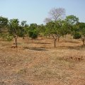 DSC00087