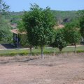DSC00097