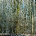 DSC00003