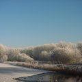 DSC00005